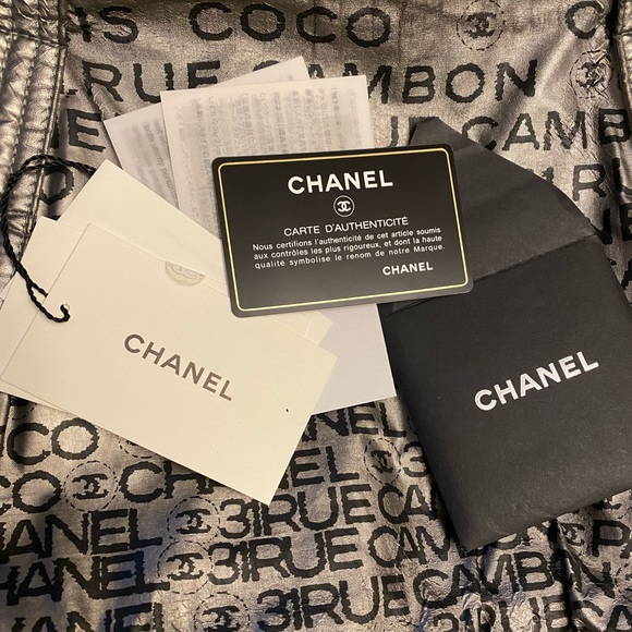 Chanel Silver 31 Rue Cambon Hobo Bag - Picture 15 of 16